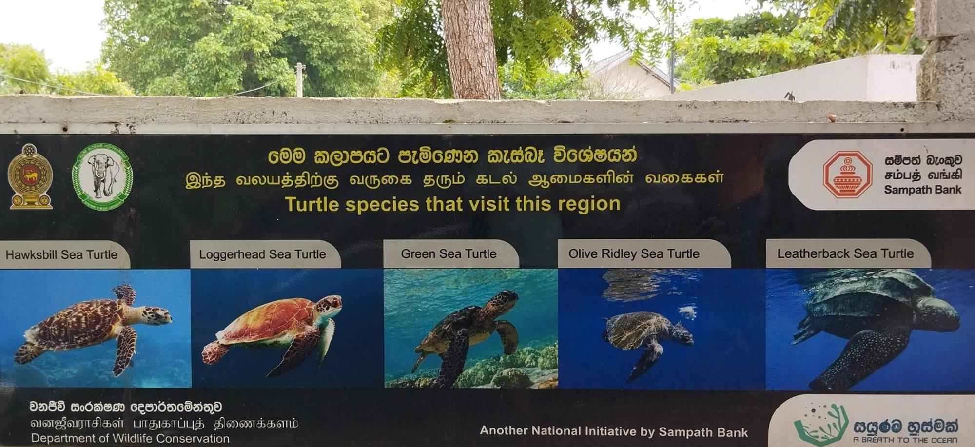 Eco Nest Marakolliya Tangalle Exterior foto