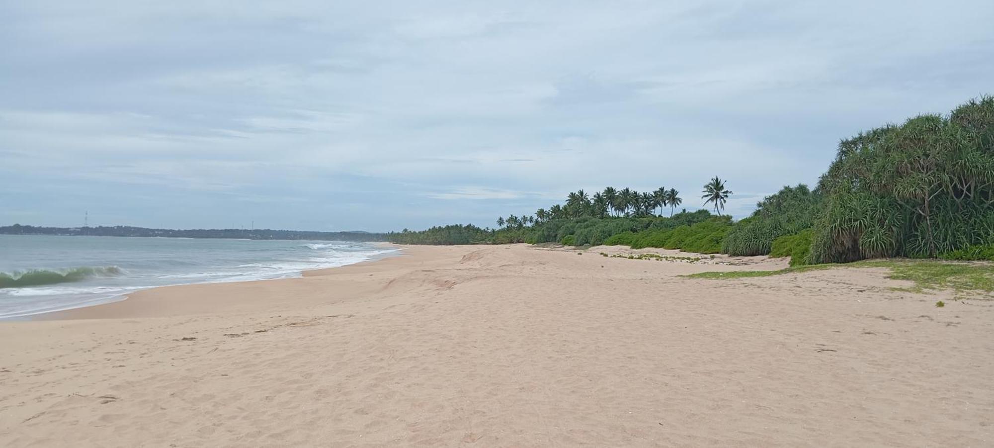 Eco Nest Marakolliya Tangalle Exterior foto