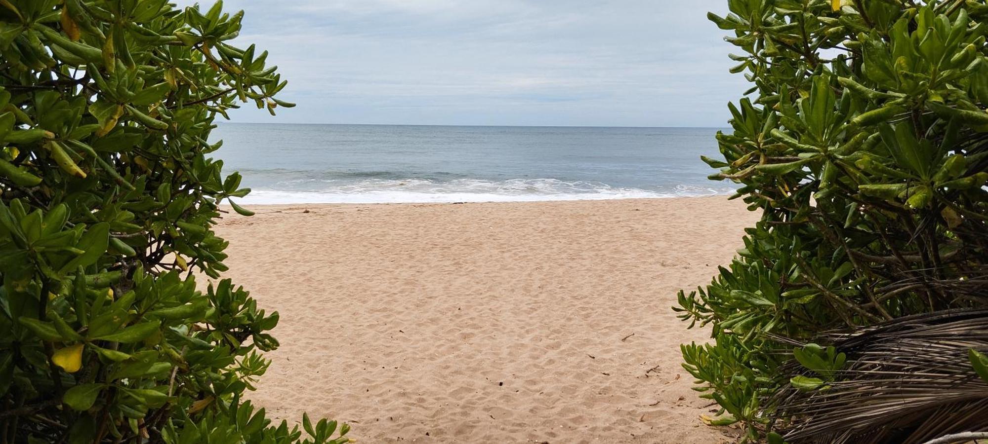 Eco Nest Marakolliya Tangalle Exterior foto