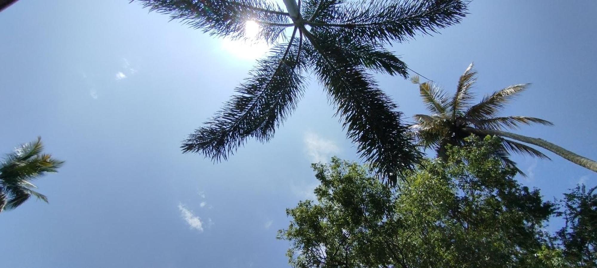 Eco Nest Marakolliya Tangalle Exterior foto