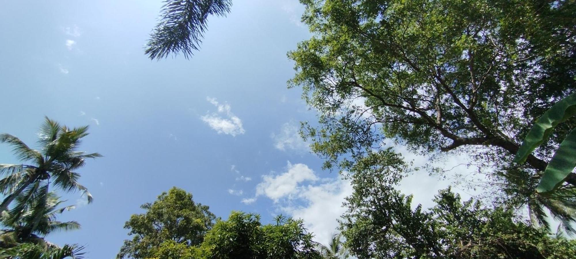 Eco Nest Marakolliya Tangalle Exterior foto