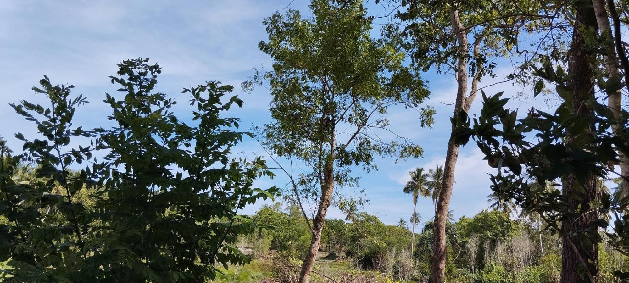 Eco Nest Marakolliya Tangalle Exterior foto